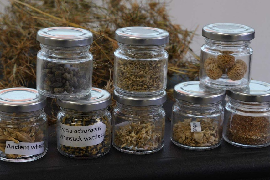 Jars of grains sitting on a table.