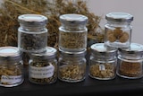 Jars of grains sitting on a table.