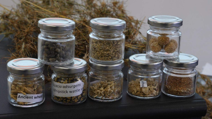 Jars of grains sitting on a table.