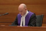 County Court Chief Judge Peter Kidd speaks into a microphone