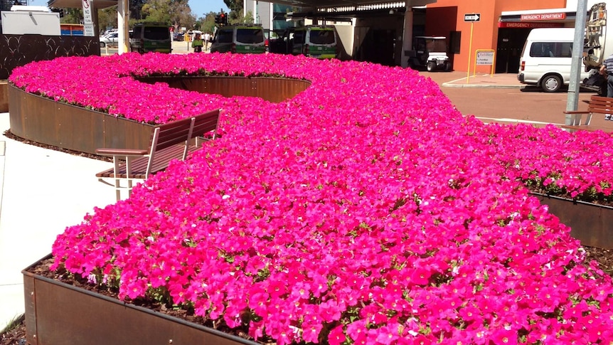 The $220,000 flower bed at Sir Charles Gairdner Hospital