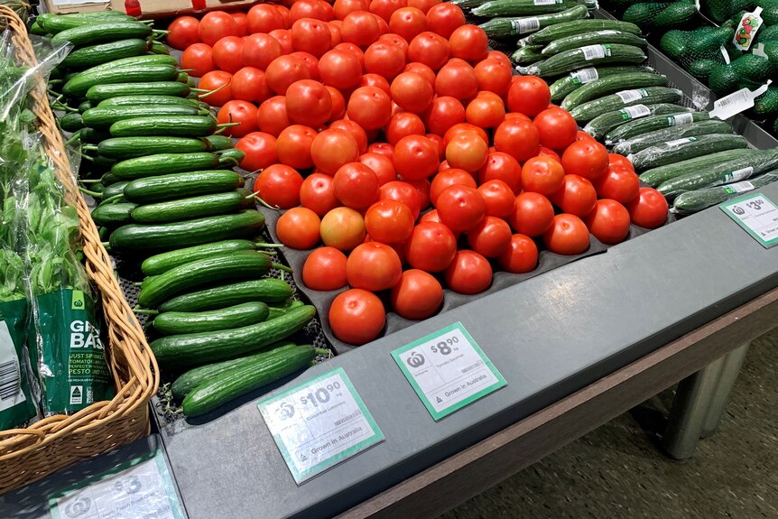 A shelf of cucumbers and tomatoes in a supermarket