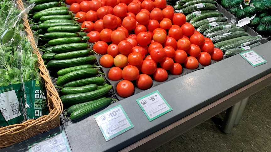 A shelf of cucumbers and tomatoes in a supermarket