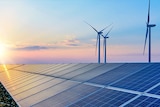 A row of solar panels and wind turbines 