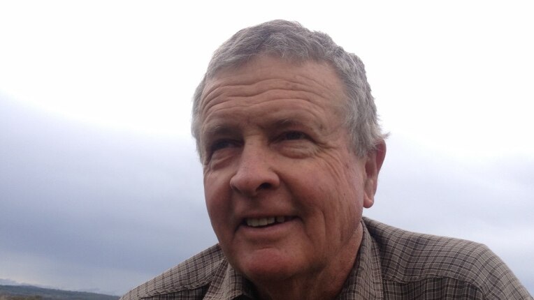 Mr Sid Plant squatting in his green crop at his farm near Toowoomba, Queensland