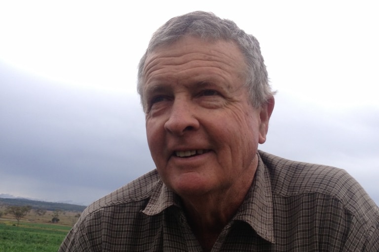 Mr Sid Plant squatting in his green crop at his farm near Toowoomba, Queensland