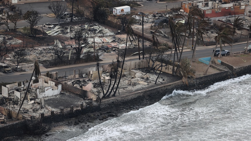 waves lap the shore next to burnt out rubble and the trunks of palm trees that have been burned
