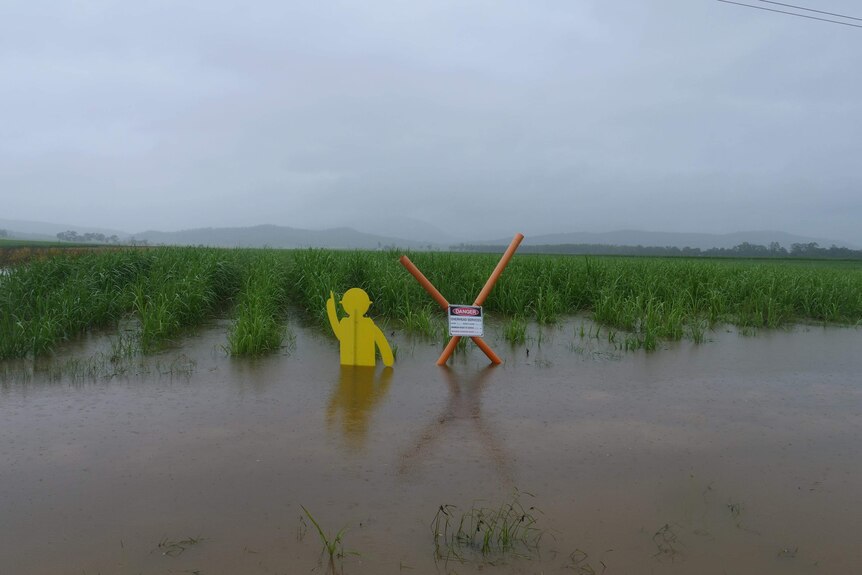 A swamped cane field with signs in it.