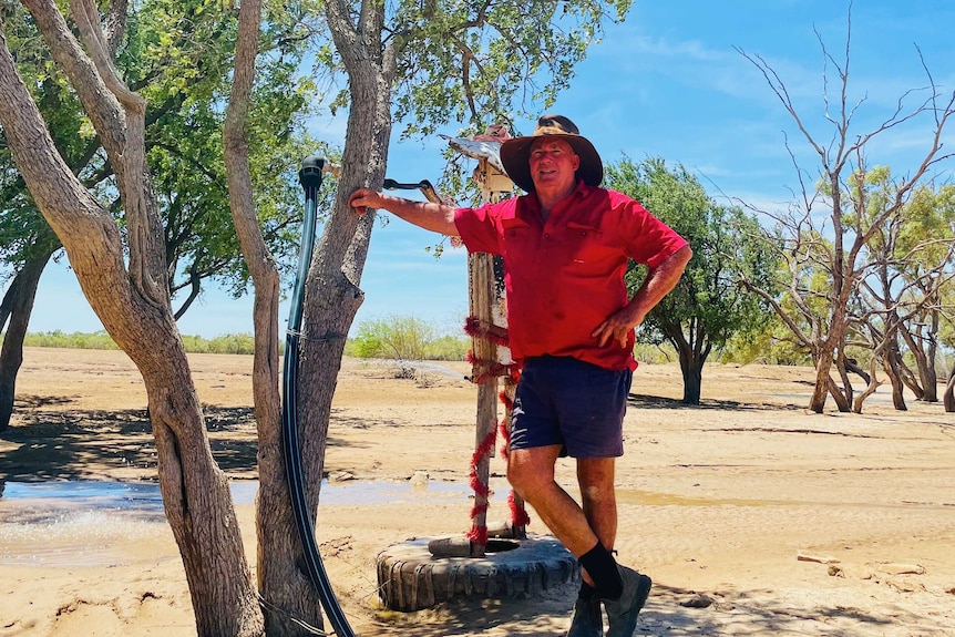 Grazier Cameron Tindall looks over his bare paddocks at Darr River Downs