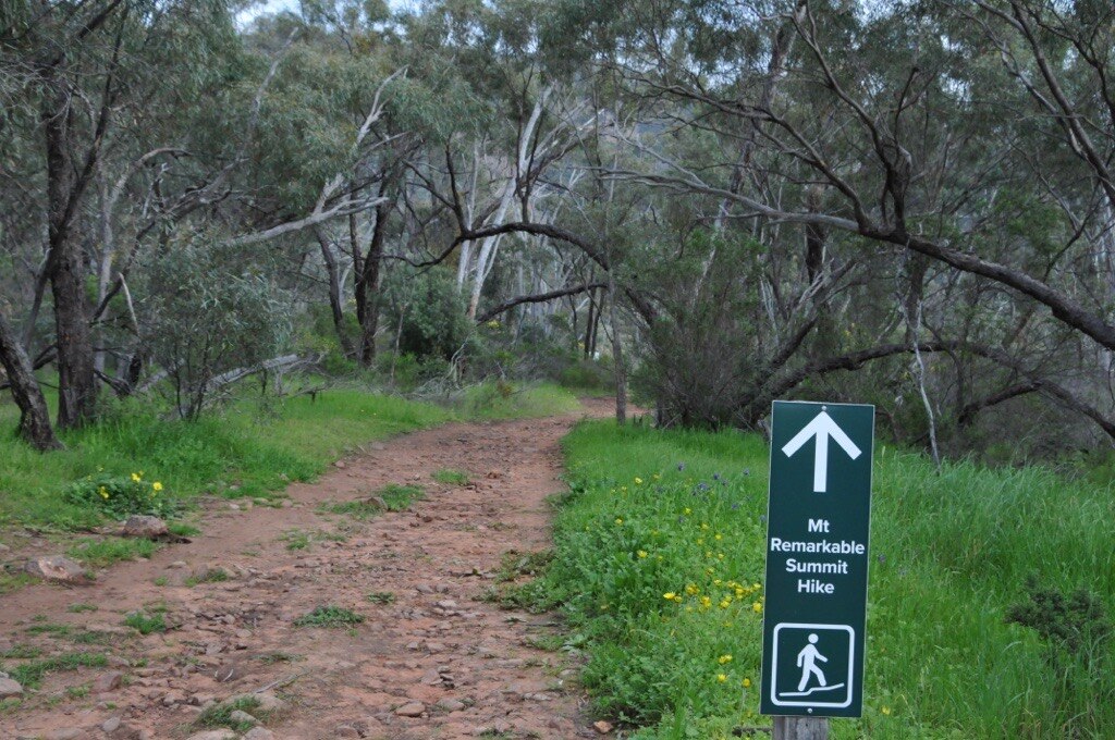A dirt road in the background and a sign in the foreground reading Mt Remarkable Summit Hike