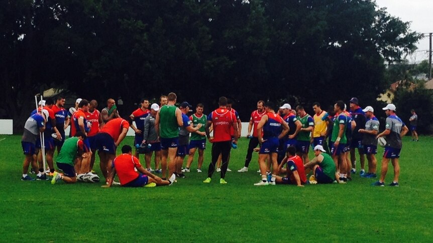 The Newcastle Knights at training ahead of the opening round game of the 2015 NRL season.