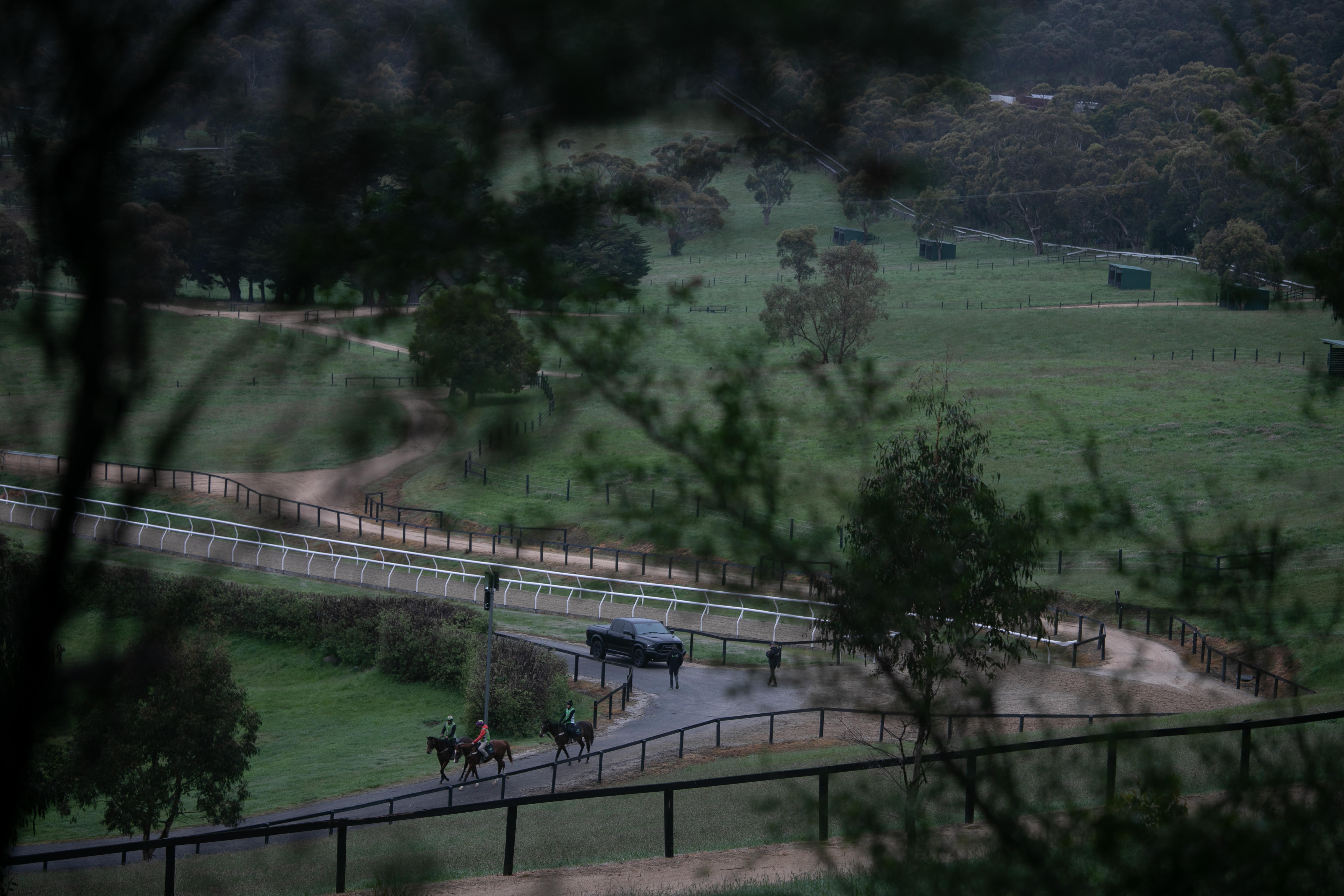 People walk their horses on a road, seen from above through trees
