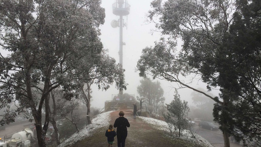 Snow on Mount Ainslie