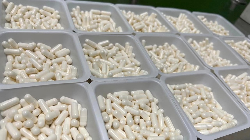 hundreds of white capsules in plastic buckets