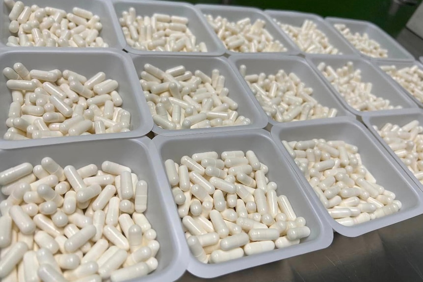 hundreds of white capsules in plastic buckets