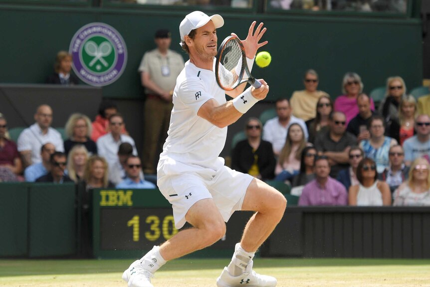 Andy Murray in action during his quarter final match against Sam Querrey.