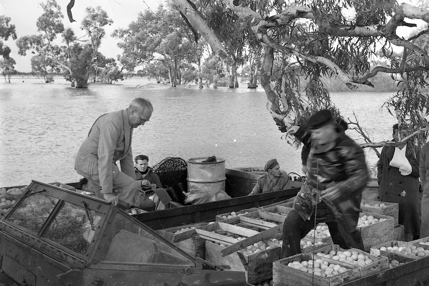Men transporting citrus by boat through flood water