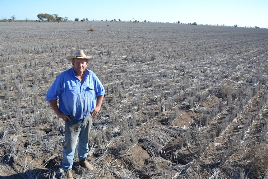 Ed Collis standing in a cropping paddock