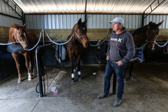 Trainer Darren Weir stands with three of his horses