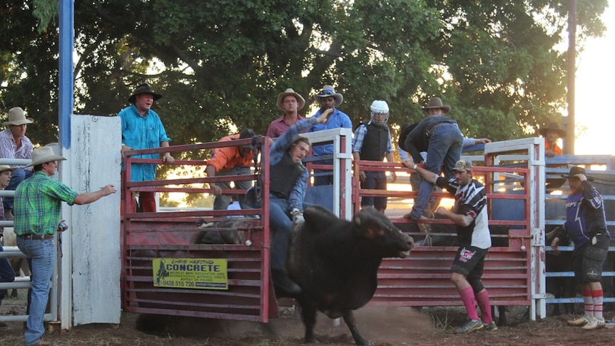 a man riding a bull at the Mataranka Rodeo