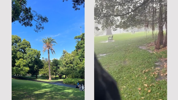 Two images of a large garden - one in full sun and the other with the rain pouring down.