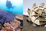A composite photo of a scuba diver over a colourful reef and a coal reclaimer at an Australian mine.