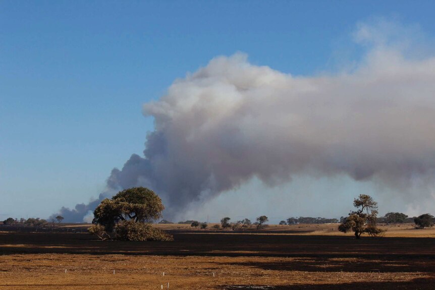 Smoke rising from farmland