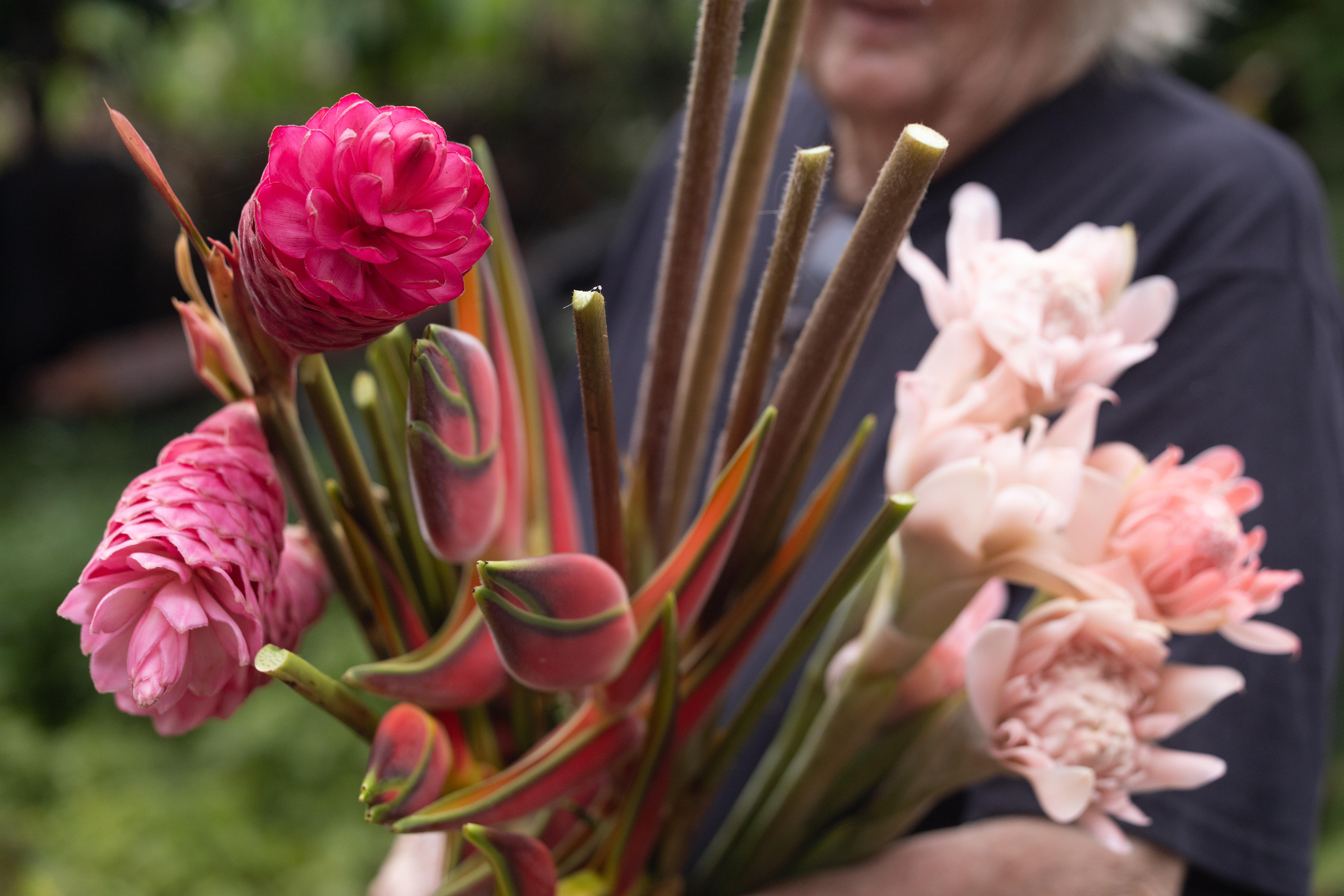 A bunch of pink flowers 