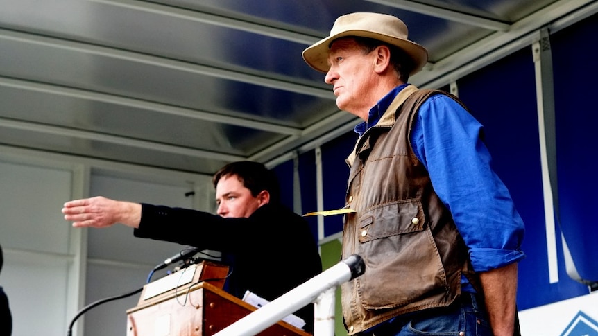 An auctioneer calls the bids on a young Kelpie while the owner watches the bids next to him.