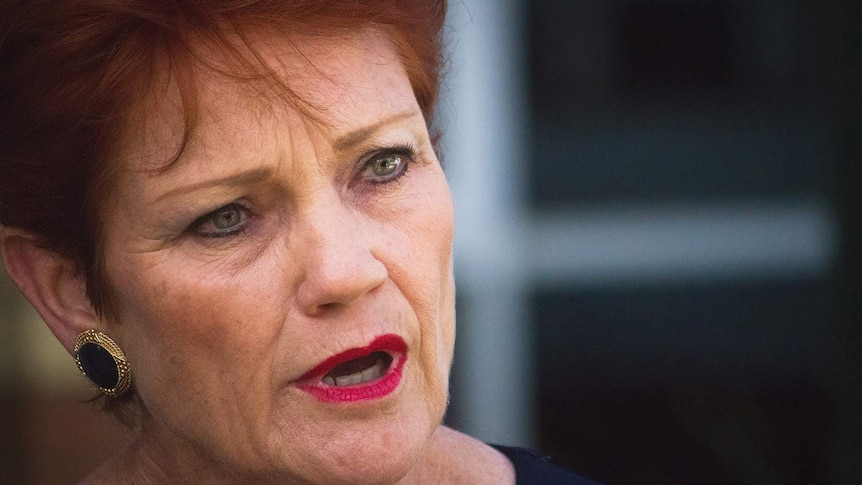 One Nation leader Pauline Hanson speaking to the media on Queensland's Sunshine Coast