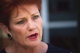 One Nation leader Pauline Hanson speaking to the media