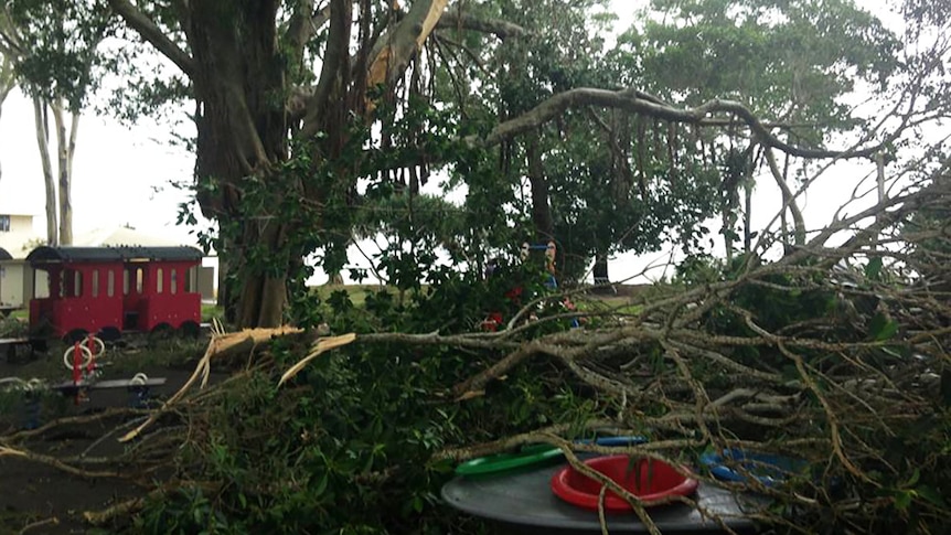 Large tree branches broken from a nearby tree have covered playground equipment