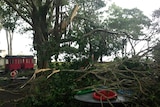Large tree branches broken from a nearby tree have covered playground equipment
