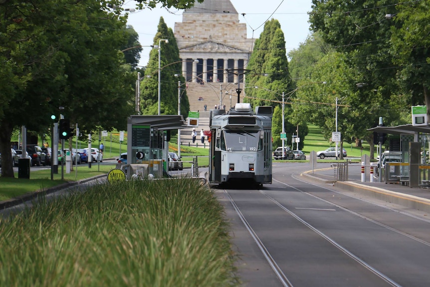 A tram on St Kilda Rd with the Shrine in the background.