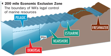 A diagram illustrating where demersal fish are located relative to the coast: deeper than 20 metres.