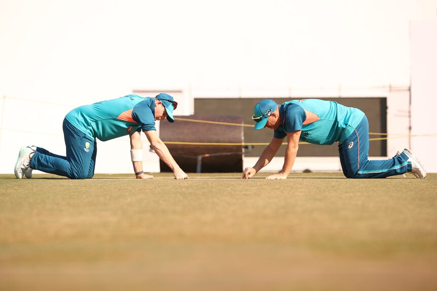 Steve Smith crawls on the pitch