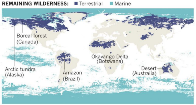 A map of the Earth shows large swathes of the remaining wilderness on various continents