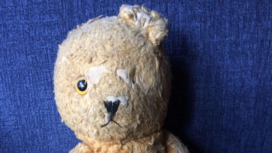 Teddy bear missing eye and ear