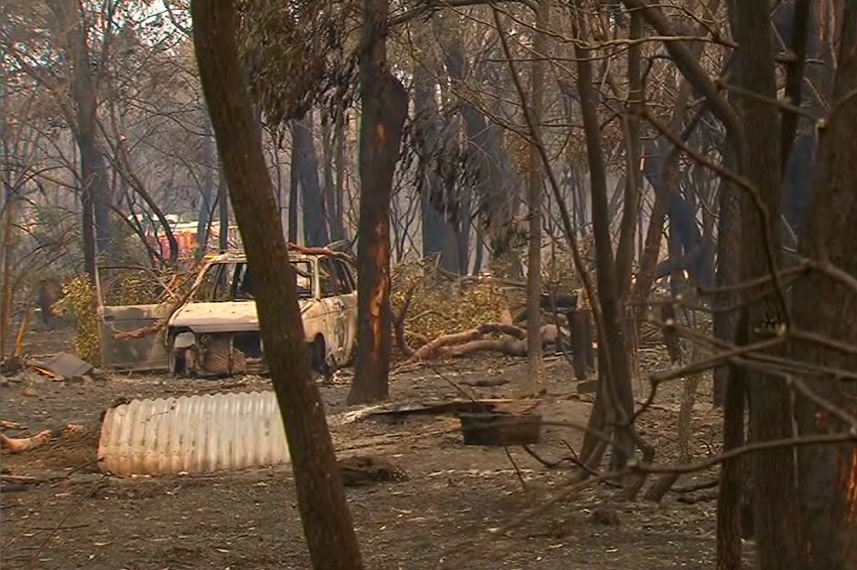 Burnt-out car and charred trees.