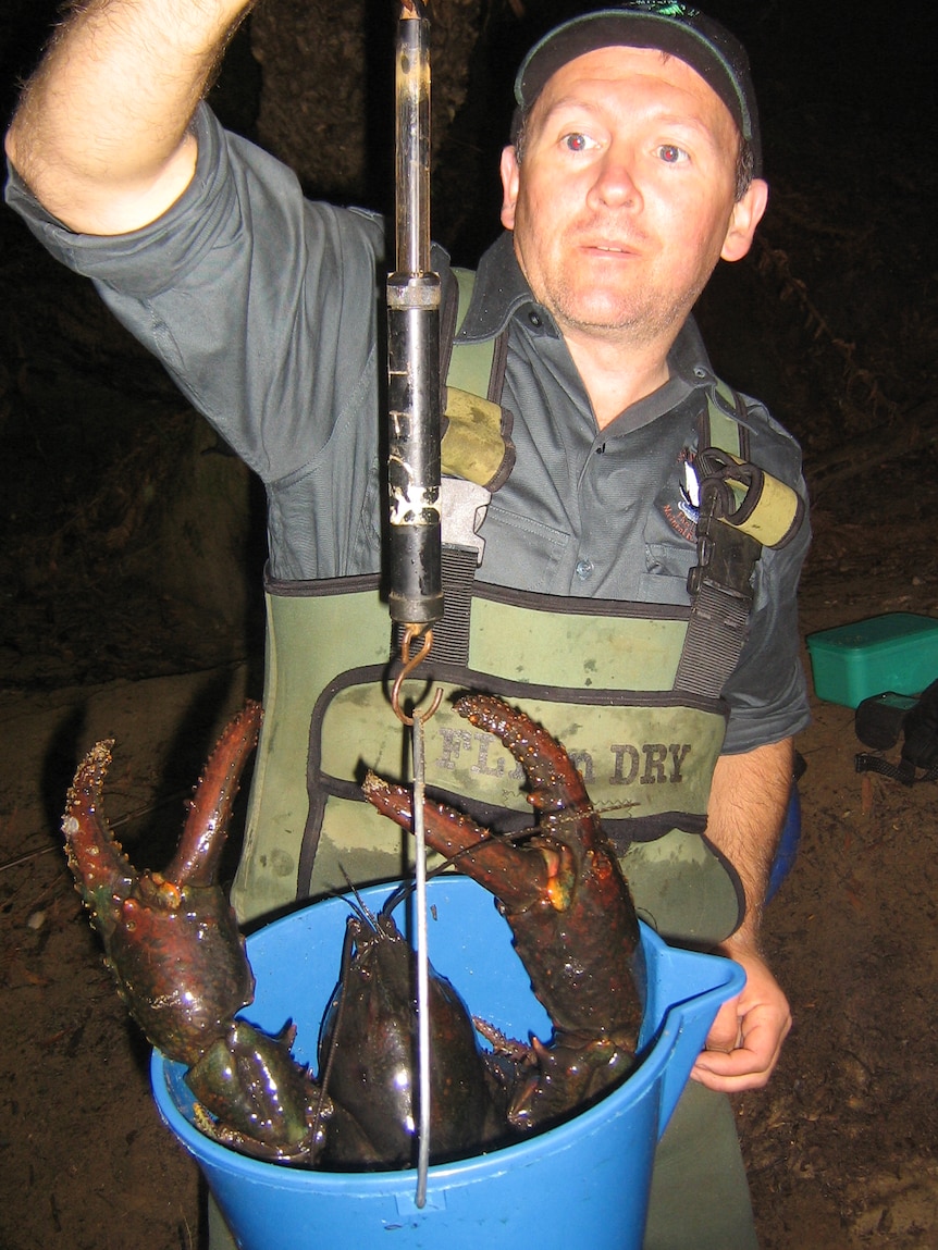 Man holds a blue bucket with a giant crayfish inside it.