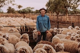Man in a denim shirt with blonde hair showing under a hat stands in a pen full of sheep.
