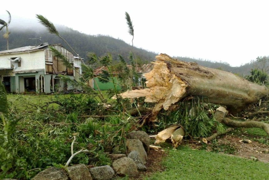 A fallen tree sits in front of a destroyed house at Mission Beach after Cyclone Yasi crossed the coast on February 3, 2011.