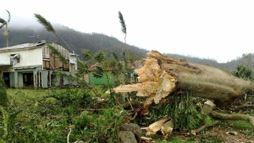 A fallen tree sits in front of Jeannie Fulton's destroyed house at Mission Beach in north Queensland on February 3, 2011.