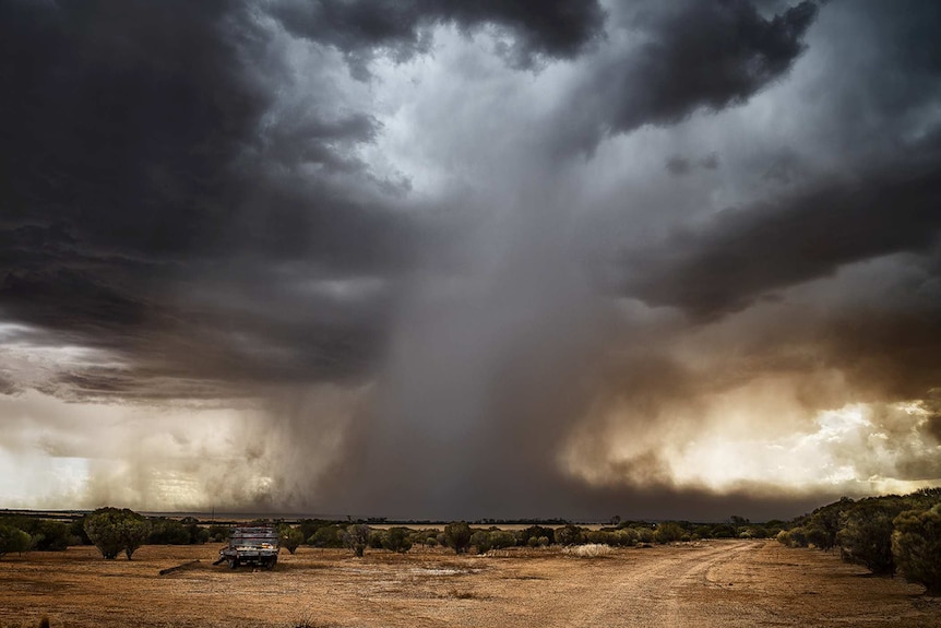 Wall of grey water on plain