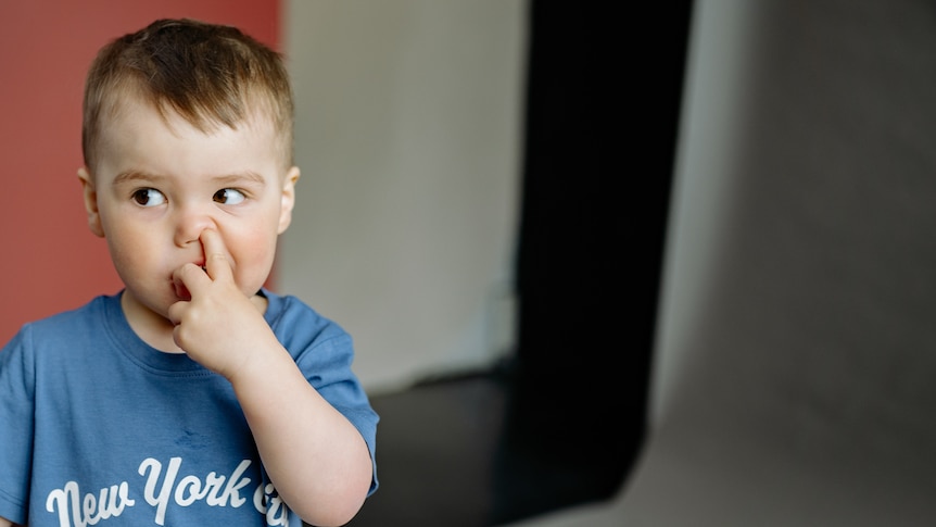 a toddler puts his finger up his nose while casting a look to the side