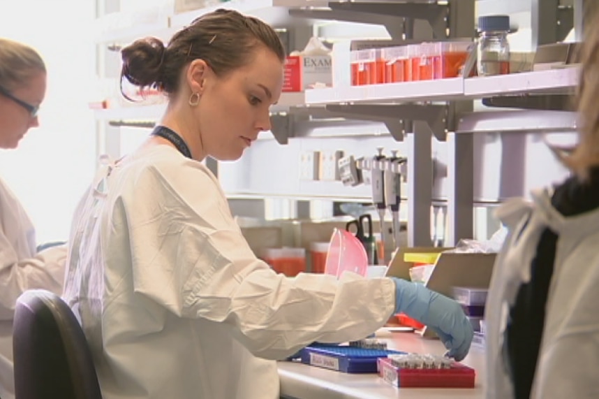 Scientists carry out genetic testing in a lab