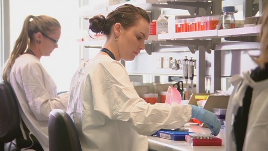 Scientists carry out genetic testing in a lab