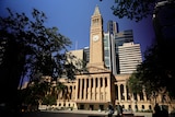 A wide shot of the Brisbane city hall among trees.
