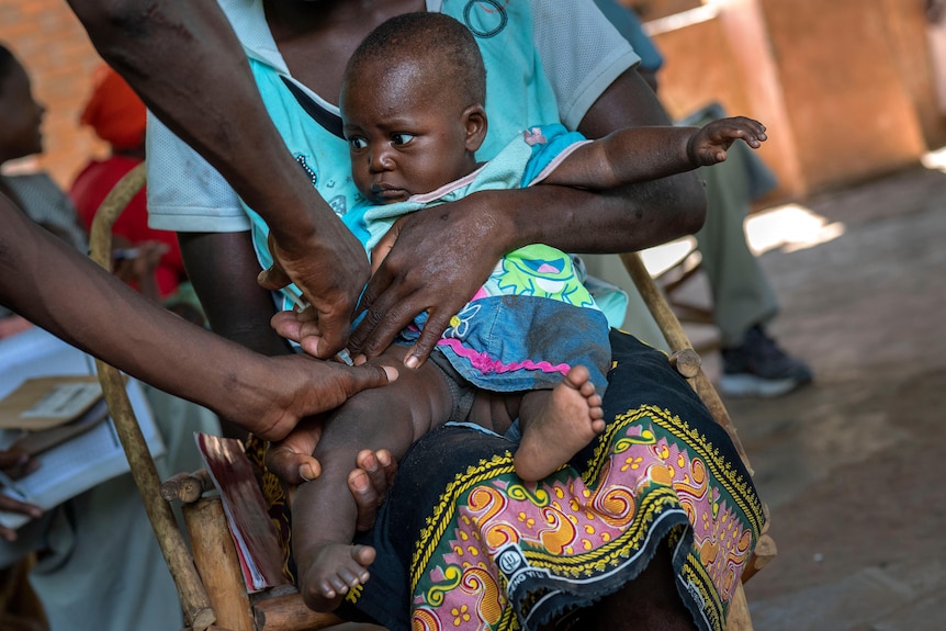 A baby is held by an adult as it is given a vaccine injection in its right leg.