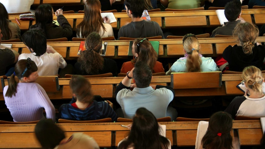 Students sitting in lecture hall at university